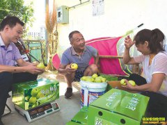 �Ĵ���Ϫ����ɽ����ֲ��ƻ����·����