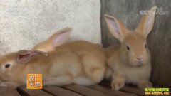 [ũ�����]��������������������÷��ֳ�������÷��ò�