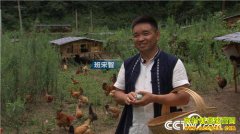 [�¸���]���ݳ�˳�ء������硱�������������̿ǵ�����ǧ��Ԫ