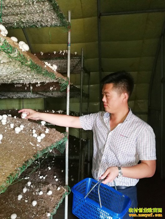 ɽ������ش�ѧ����־�����紴ҵ��ֲ˫�߹�Ч���