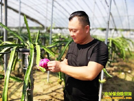 ɽ������С��Ƚ����������ֲ������ÿĶ��׬3��Ԫ