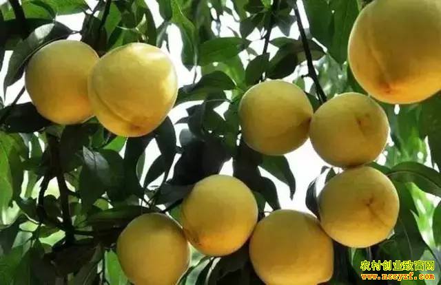 �㽭���˽����ϰ�ξ�������紴ҵ�ֹ������𡰻���ɽ��