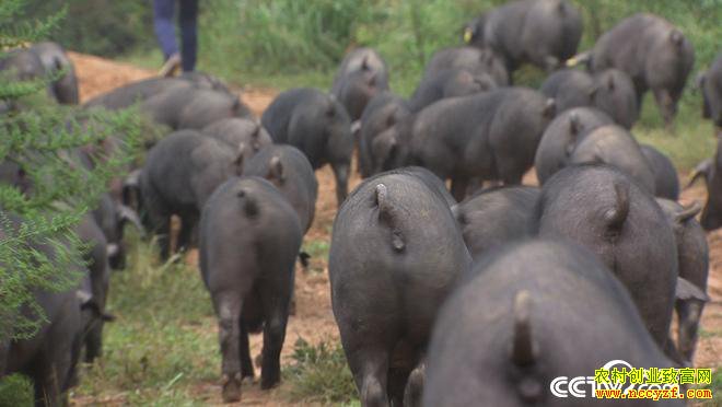 �¸��������������ڿ� ����ǧ���(20171010)