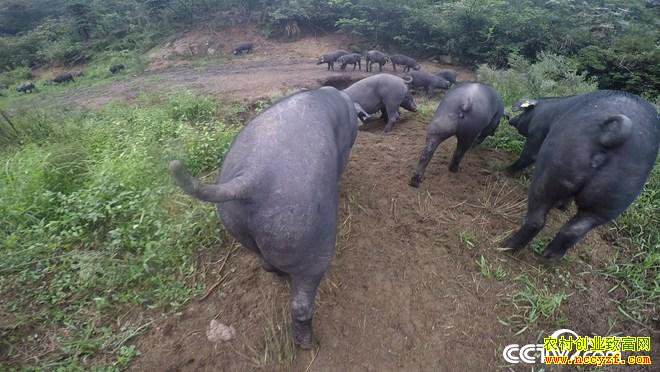 �¸��������������ڿ� ����ǧ���(20171010)