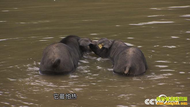 �¸��������������ڿ� ����ǧ���(20171010)