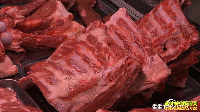 �¸��������������ڿ� ����ǧ���(20171010)