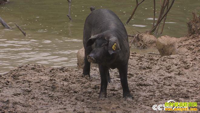 �¸��������������ڿ� ����ǧ���(20171010)