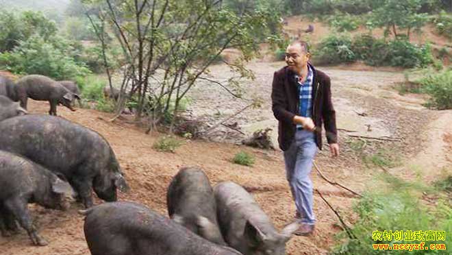 [�¸���]�������زܺ����������ڿ� ��������ǧ���