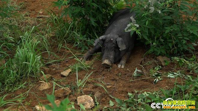 �¸��������������ڿ� ����ǧ���(20171010)