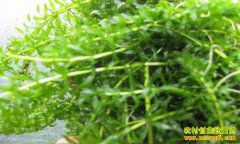 �Ĵ���Ϫ������������������ֳС��Ϻ���ú�