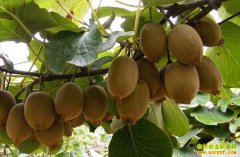 �Ĵ����ݵ�������ֲ⨺��ұ����¸�·