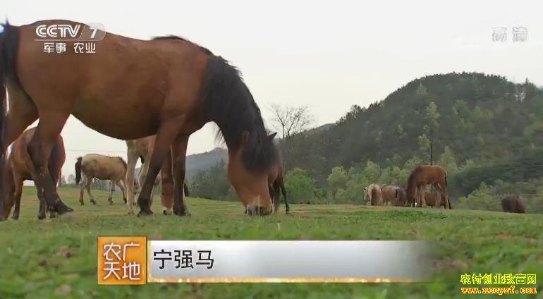 [ũ�����]��ǿ����ֳ������Ƶ 20180910