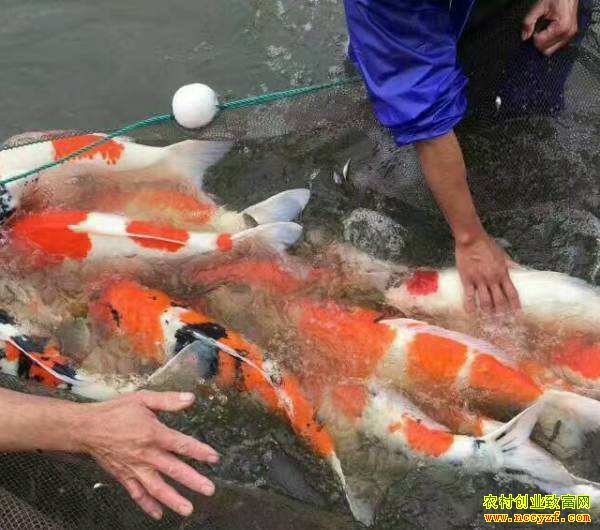 �㽭�����й���ת��������ɾ͡�������ѽ��𳡡�