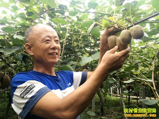 ɽ���Ͳ����ƽ��ֳ������ء�⨺����۸���