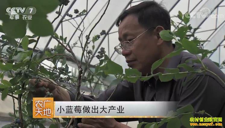 [ũ�����]С��ݮ�������ҵ 20180919