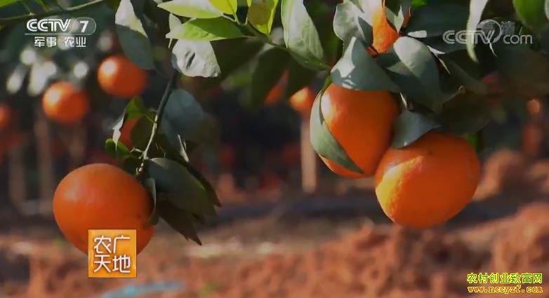 [ũ�����]�̸ָ߲����༼�� 20180924