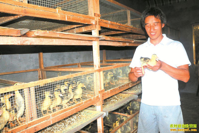 �������鿴��Ѽ�糤��