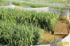 �Ĵ��������ľ���������������Ϻ ����������Ǯ��