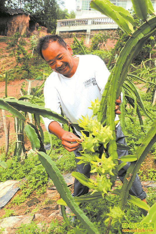 �Ĵ�������������ֻ�����Ķ��8000Ԫ