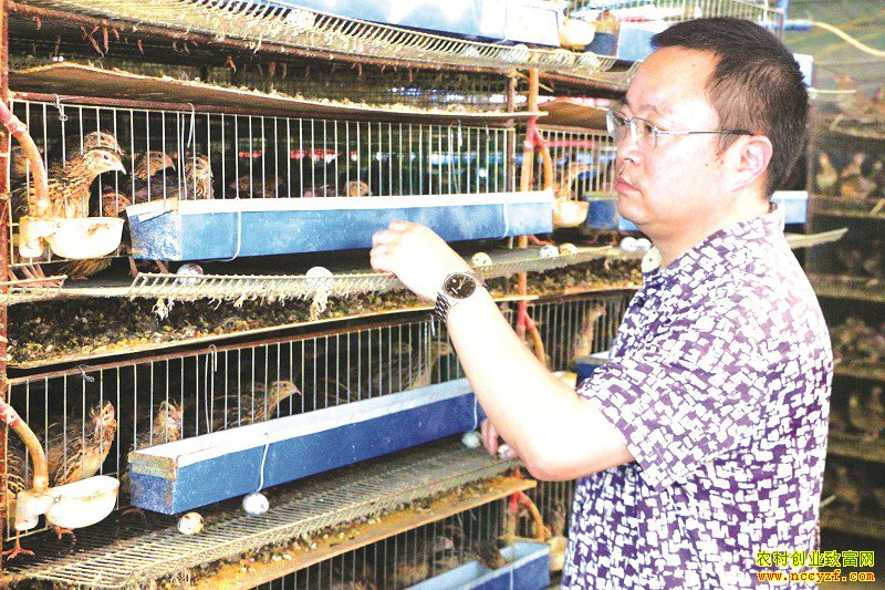 �Ĵ�üɽ��ԥ��ץס�̻���ֳС�������ɴ��ҵ