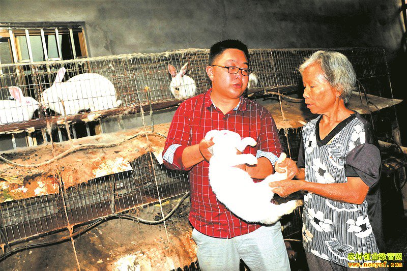 ��ǿ�v��wָ������Ⱥ������