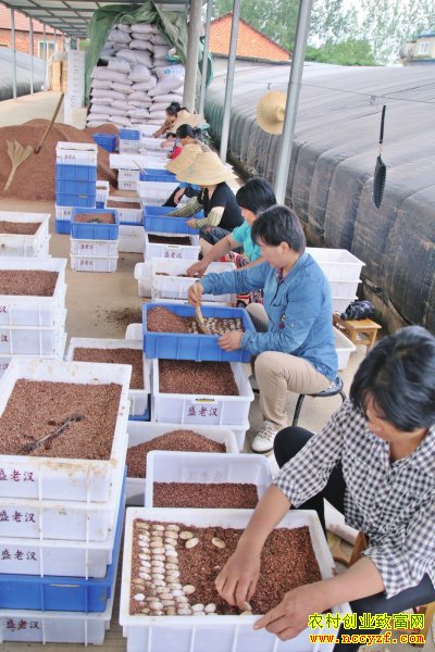 ������ɽ�ֹ����ʢ����רҵ����20��