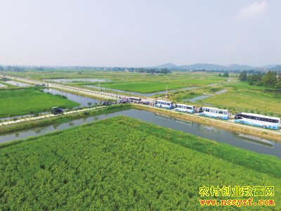 ������ɽ�ֹ����ʢ����רҵ����20��