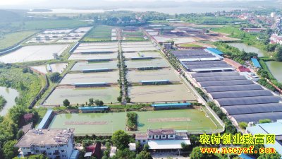 ������ɽ�ֹ����ʢ����רҵ����20��