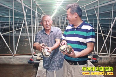 ������ɽ�ֹ����ʢ����רҵ����20��