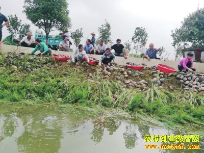 ������ɽ�ֹ����ʢ����רҵ����20��