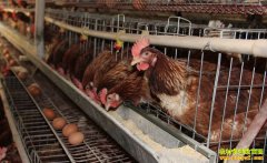 ɽ�������ش���ǿ��ֳ��������20����Ԫ