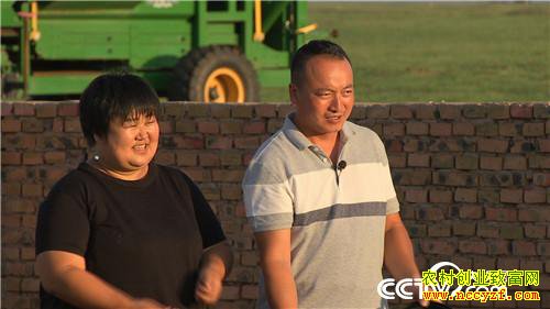 [�¸���]����Ů�������� һֻ��ֵ7000Ԫ 20181011 