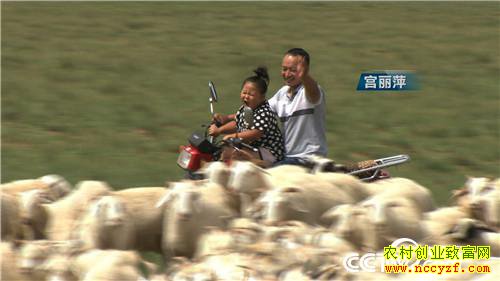 [�¸���]����Ů�������� һֻ��ֵ7000Ԫ 20181011 