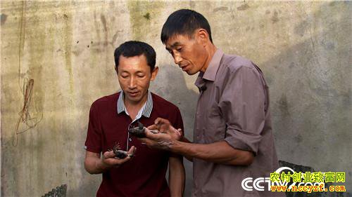 [�¸���]�Ĵδ�ҵ��м� ֻΪ��ɽ�ܲƸ� 20181012 