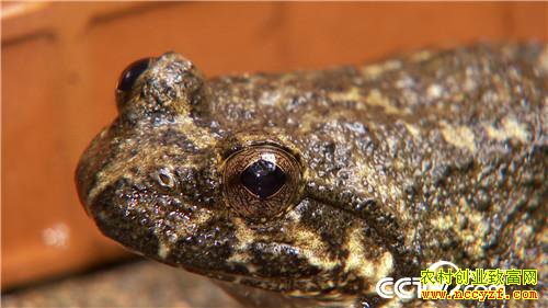 [�¸���]�Ĵδ�ҵ��м� ֻΪ��ɽ�ܲƸ� 20181012 