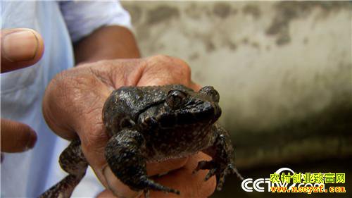 [�¸���]�Ĵδ�ҵ��м� ֻΪ��ɽ�ܲƸ� 20181012 