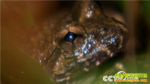 [�¸���]�Ĵδ�ҵ��м� ֻΪ��ɽ�ܲƸ� 20181012 