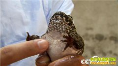 [�¸���]�Ĵδ�ҵ��м� �������ĺν�����ɽ��ʯ�ܴ���Ƹ�