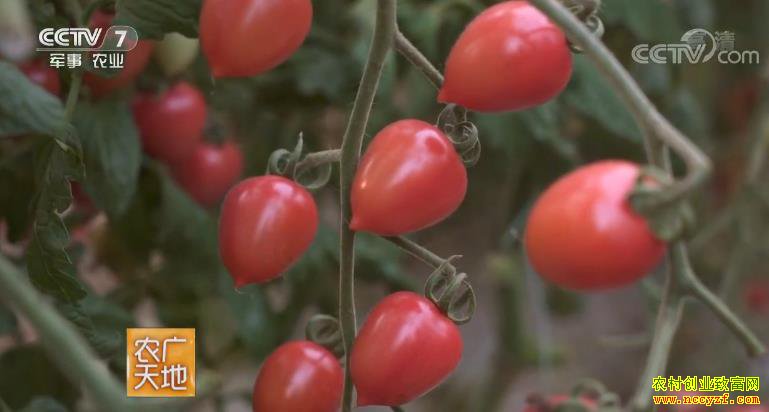 [ũ�����]ӣ�ҷ��Ѵ������༼�� 20181015