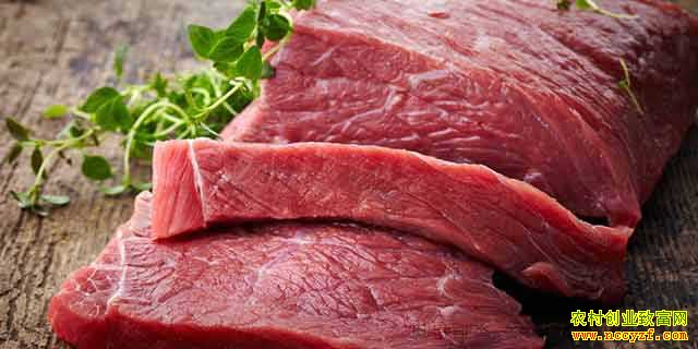 ��ͨţ��۸��Ƶ���� ʮ����Ѯ����ţ��ʱ��