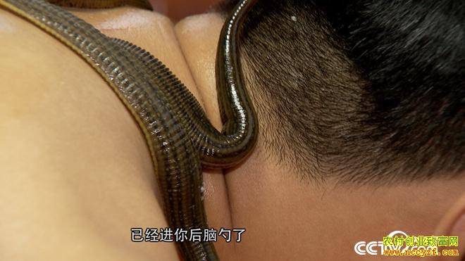 ���ֶ��������� ��ȴ��׬500��