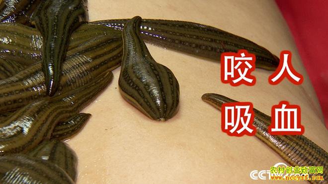 [�¸���]����������ΰ����ˮ����׬500��