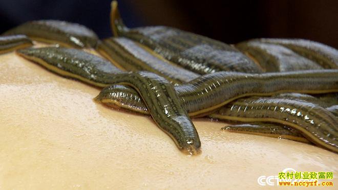 [�¸���]����������ΰ����ˮ����׬500��