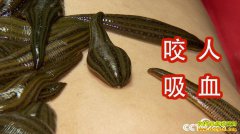 [�¸���]����������ΰ����ˮ����׬500��