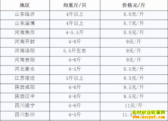 2018��10��19��ȫ�����á�̡�����¼۸�����