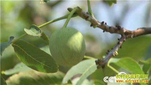 �¸����������������800��(20170912)