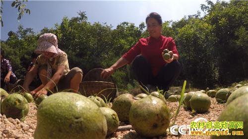 �¸����������������800��(20170912)