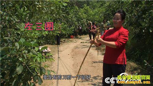 �¸����������������800��(20170912)