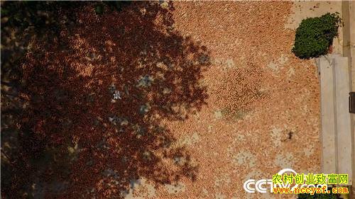 �¸����������������800��(20170912)