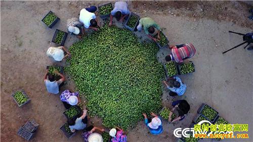 �¸����������������800��(20170912)